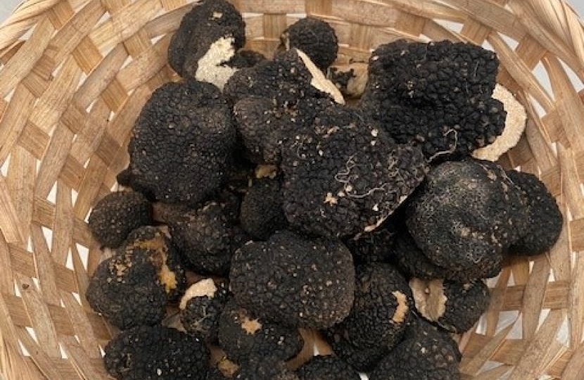 Truffles